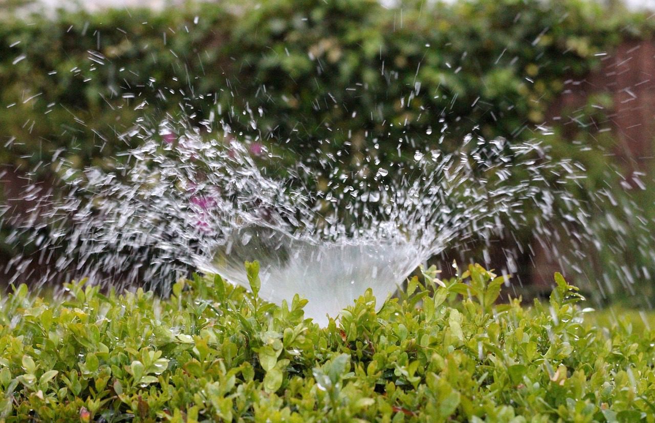 How to Set Up an Automated Irrigation System at Home
