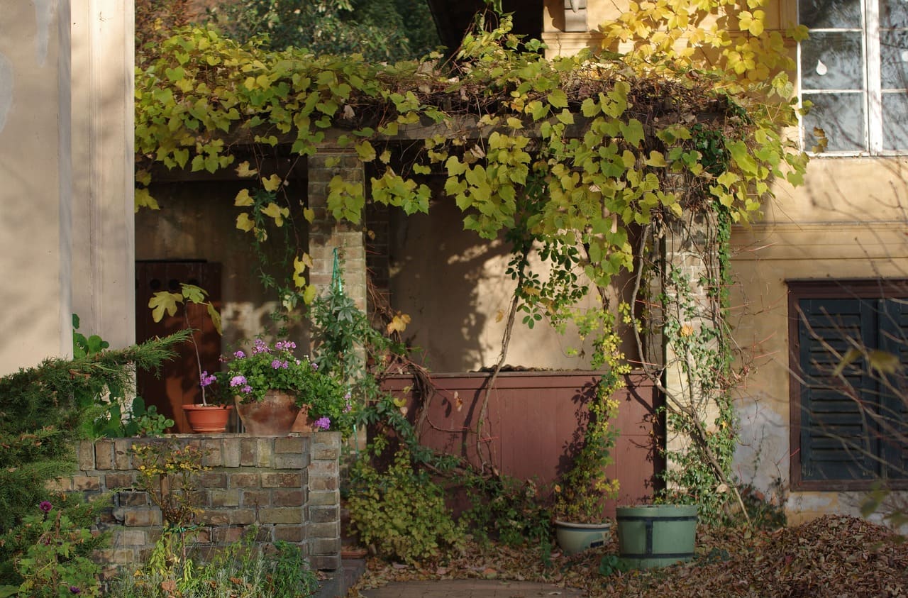 How to Create a Shade Garden
