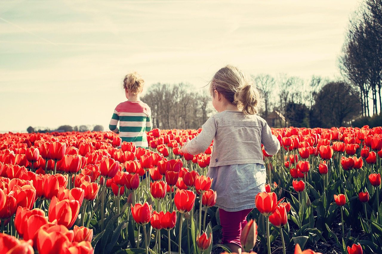 How to Create a Garden for Children