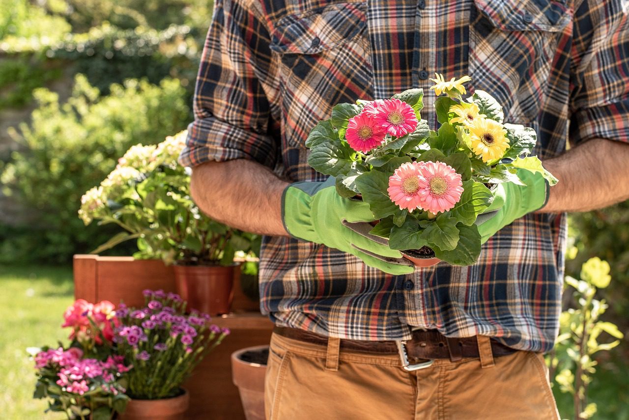 Top 10 Seasonal Flowers to Brighten Your Garden Year-Round
