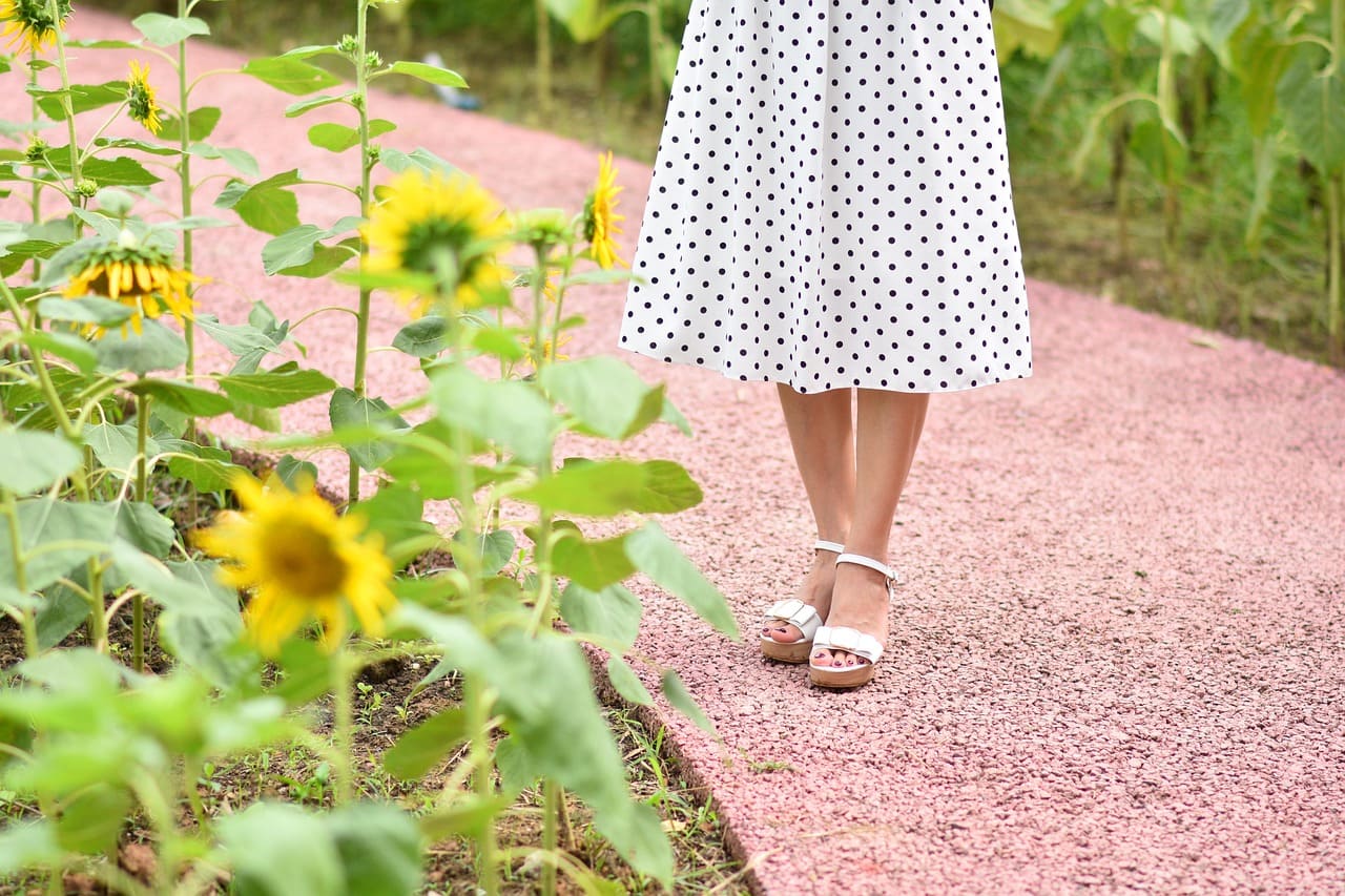 How to Design a Beautiful and Functional Garden Path