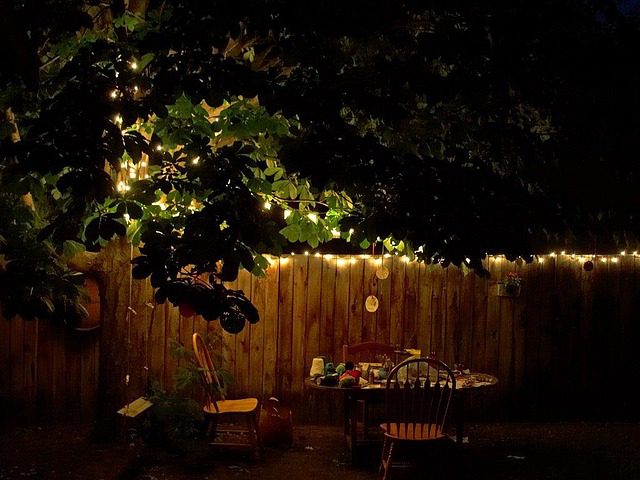 How to Start a Moon Garden for Nighttime Beauty
