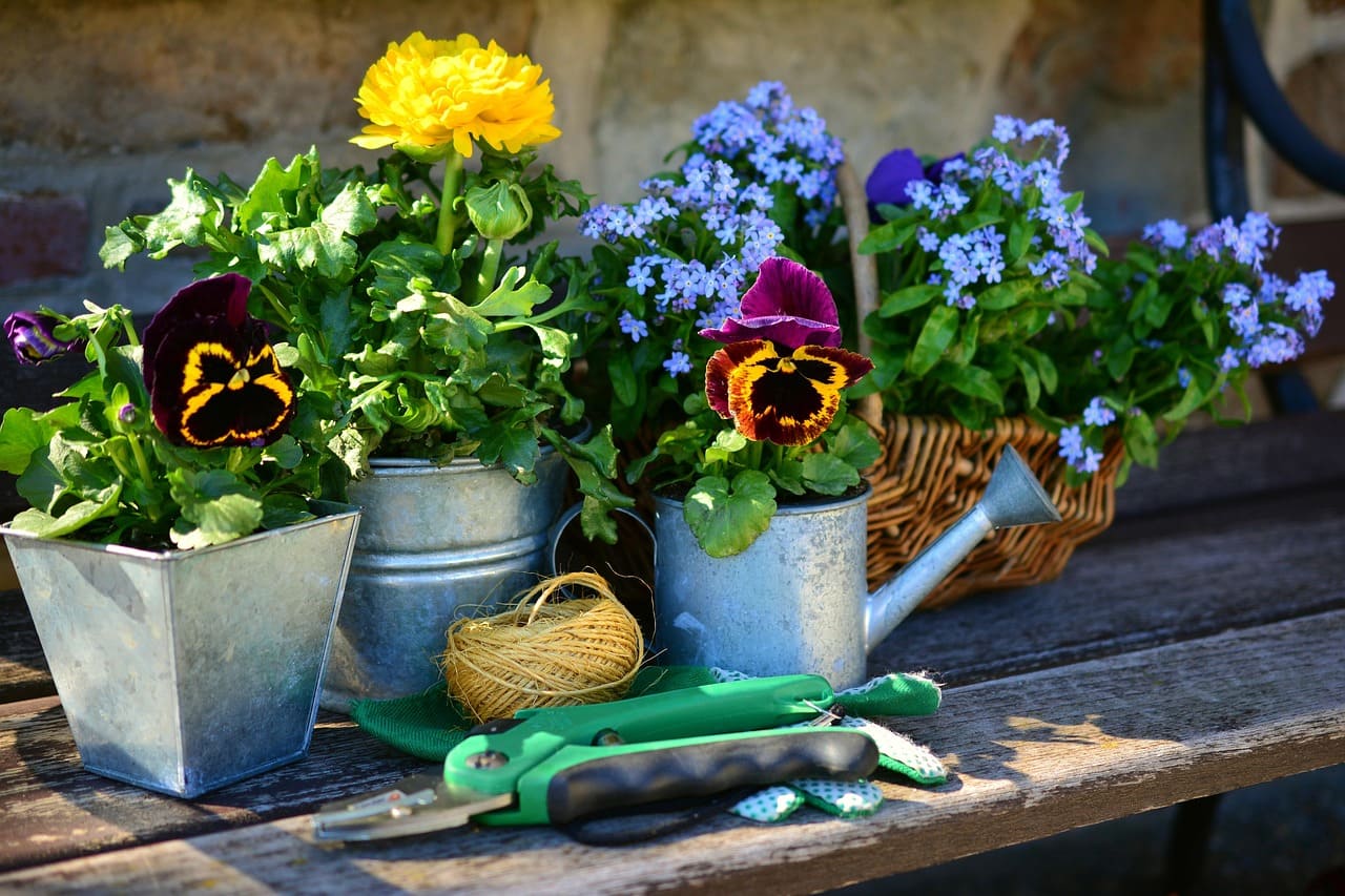 The Best Gardening Tools for Beginners