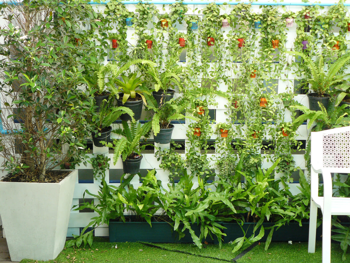 How to Create a Vertical Garden Step by Step