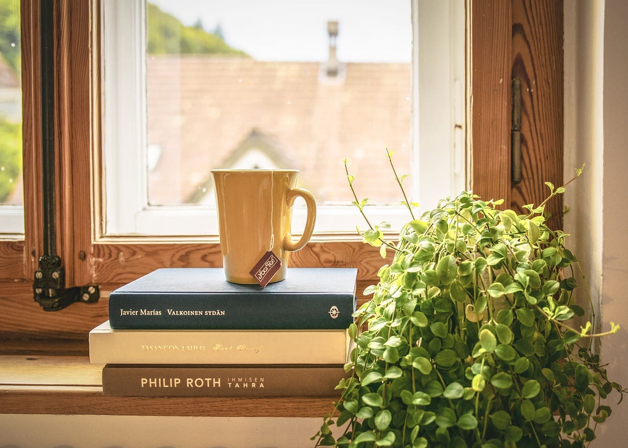 10 Plants That Help Purify the Air Indoors