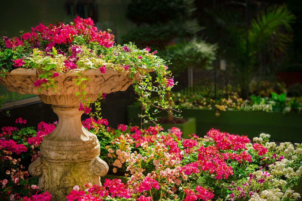 How to Create a Sensory Garden