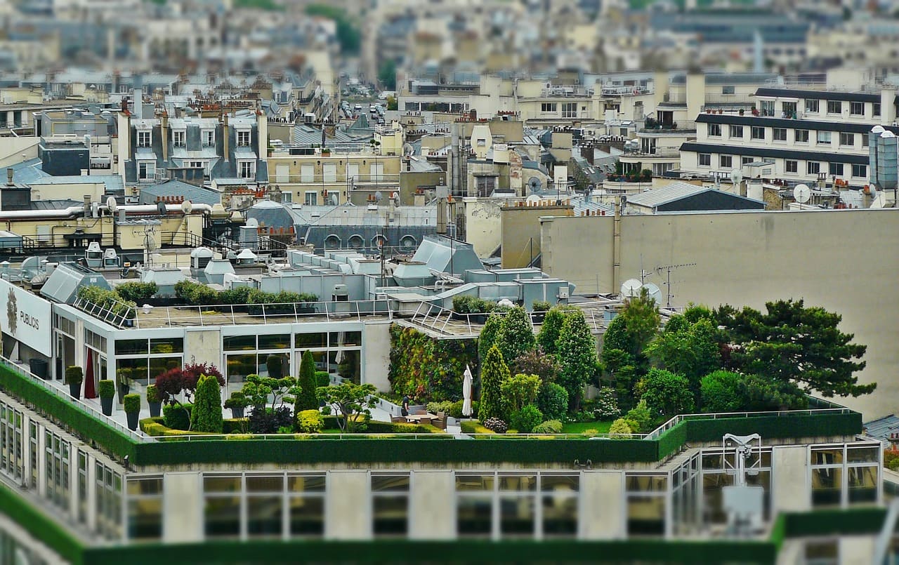 How to Start a Rooftop Garden Tips for Urban Gardeners
