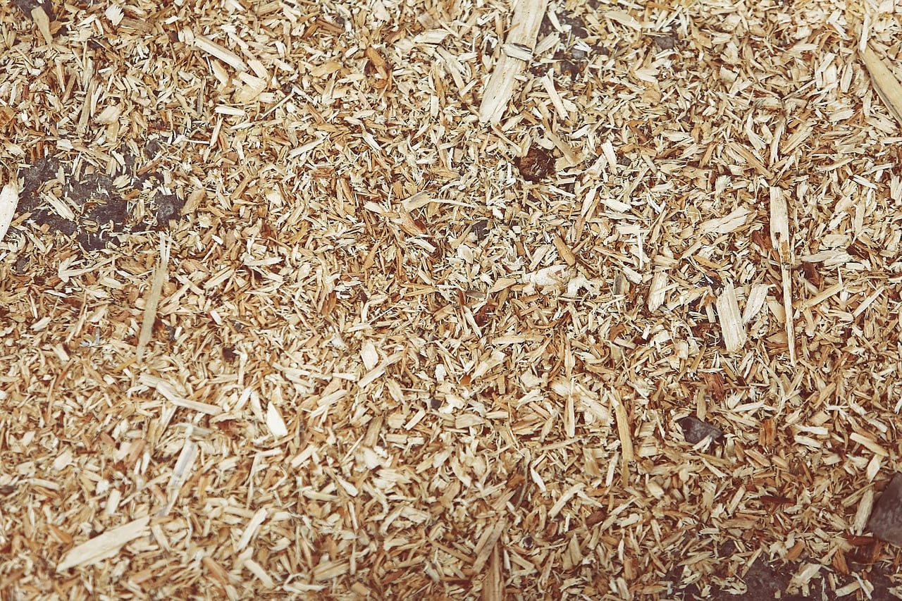 How to Use Mulch Effectively for a Healthier Garden